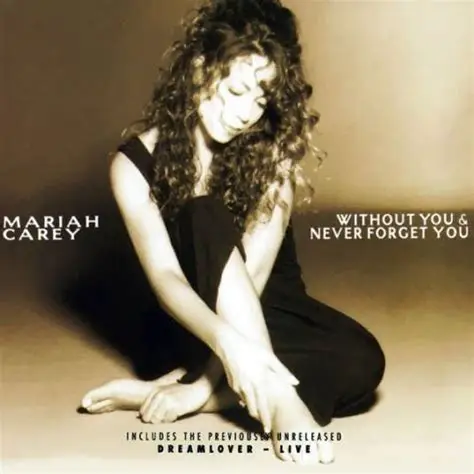 Without You