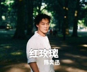 红玫瑰
